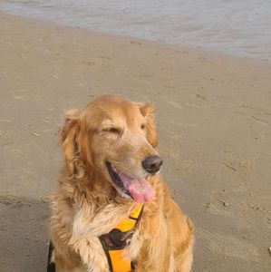 Meet your Posher, Irma